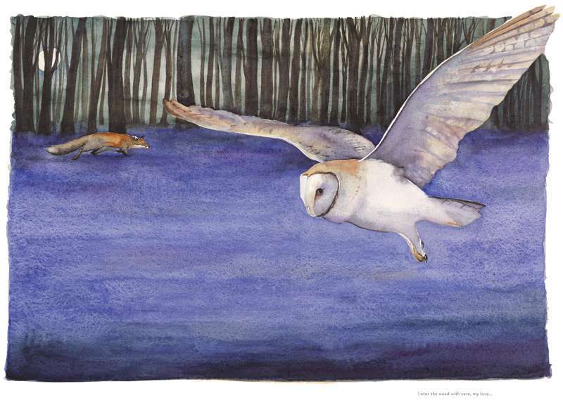 Jackie Morris Enter the wood with care my love