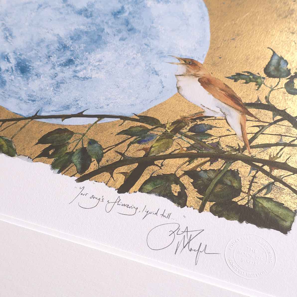 Nightingale By Jackie Morris